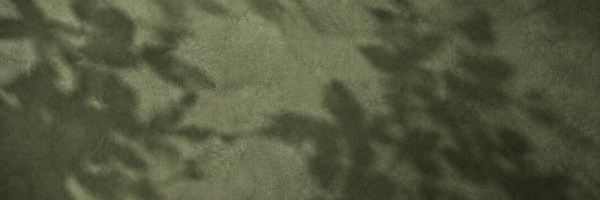 Dark Green Canvas Art Print, Leaf Shadows, Bedroom Wall Art Decor