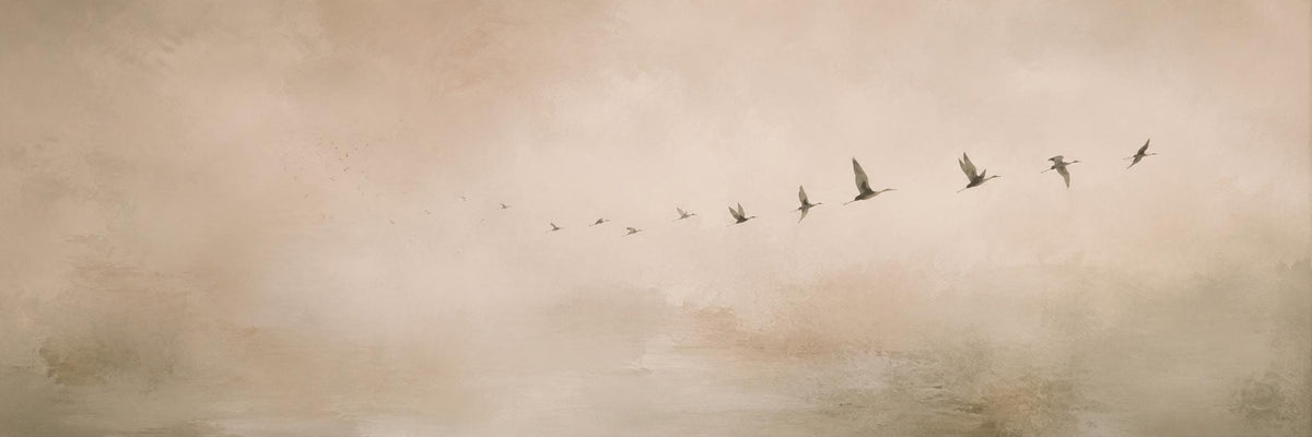 Neutral Flying Birds Panorama Canvas Print, Japandi Wabi Sabi Art