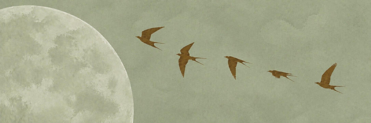 Minimalist Wabi Sabi Horizontal Canvas Print: Sage Green Moon and Birds